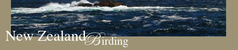 Birding Tours